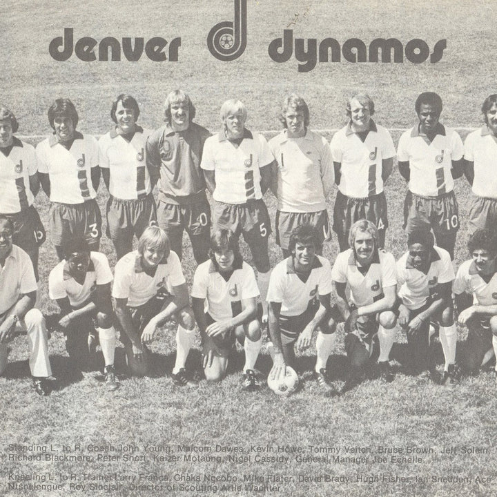 Denver Dynamos Grey T-shirt