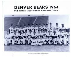 Denver Bears Grey T-shirt