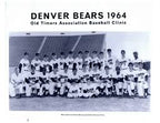 Denver Bears Grey T-shirt